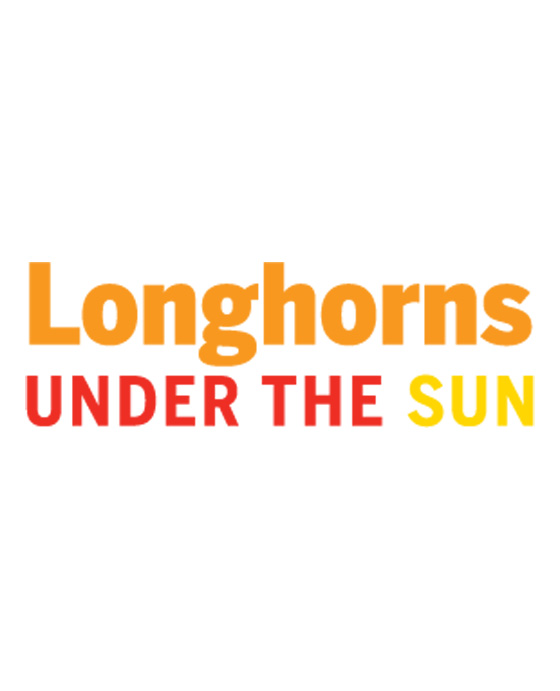 Longhorns under the sun