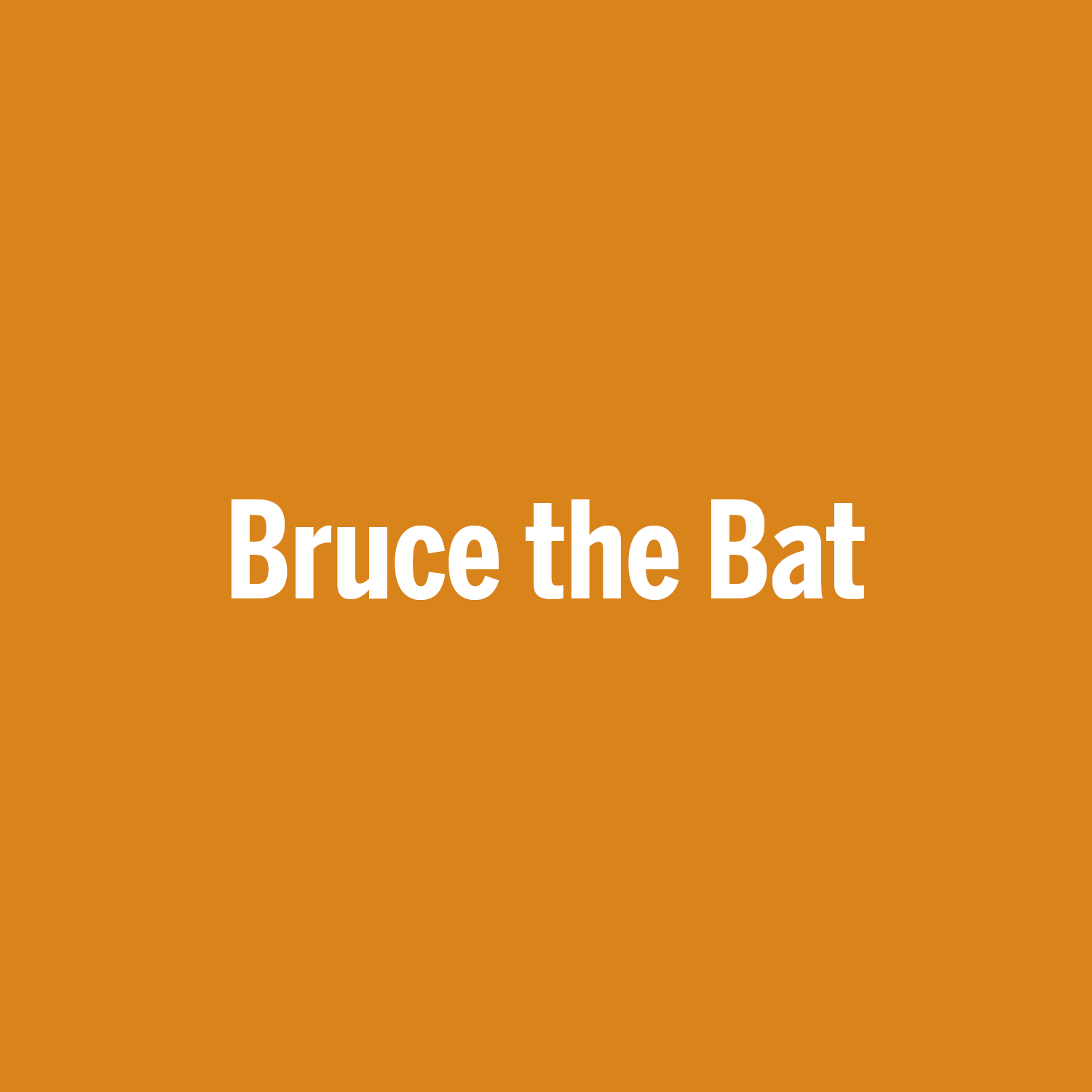 bruce the bat