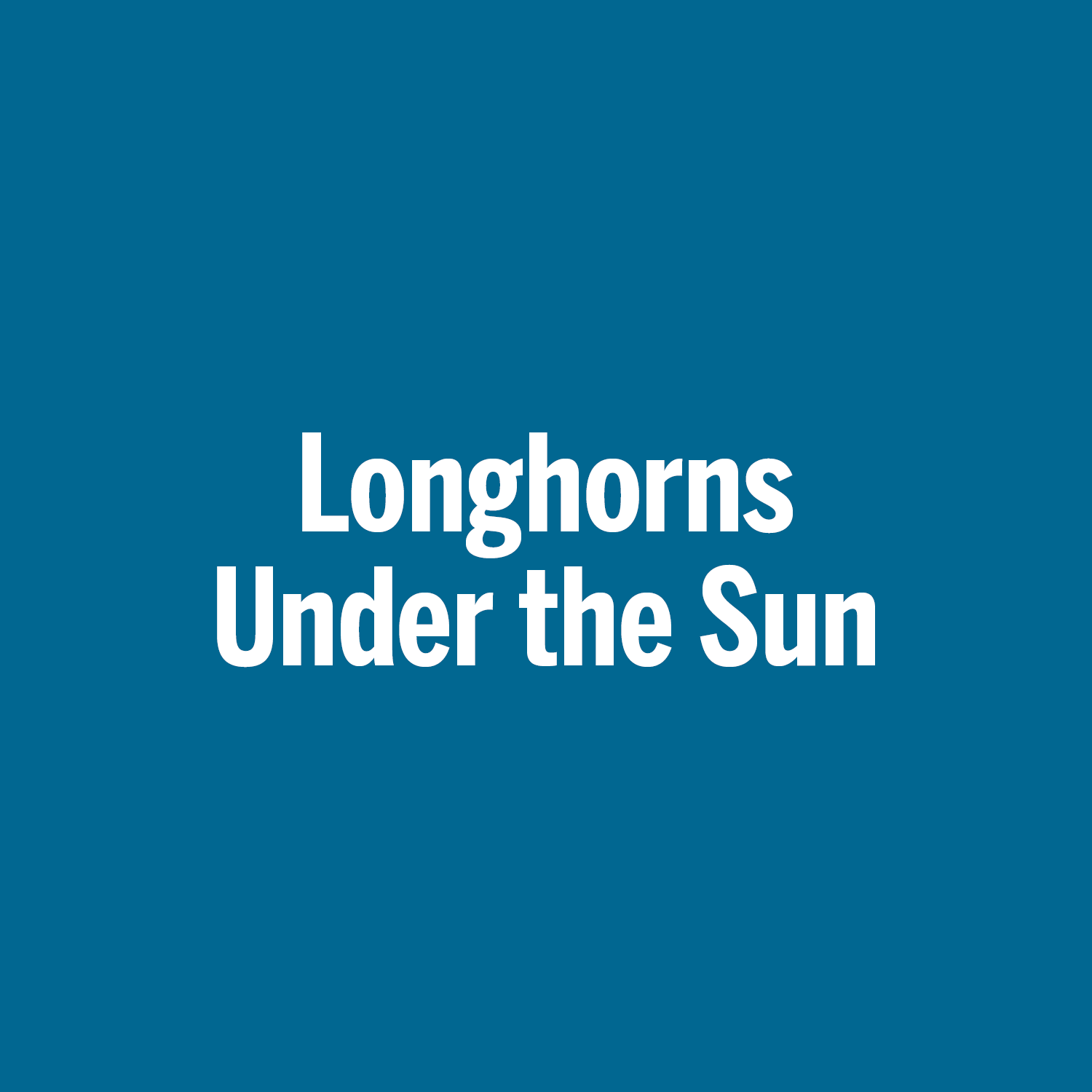 Longhorns Under the Sun
